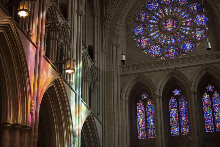 Indoor south rose light projection 2016 740x494