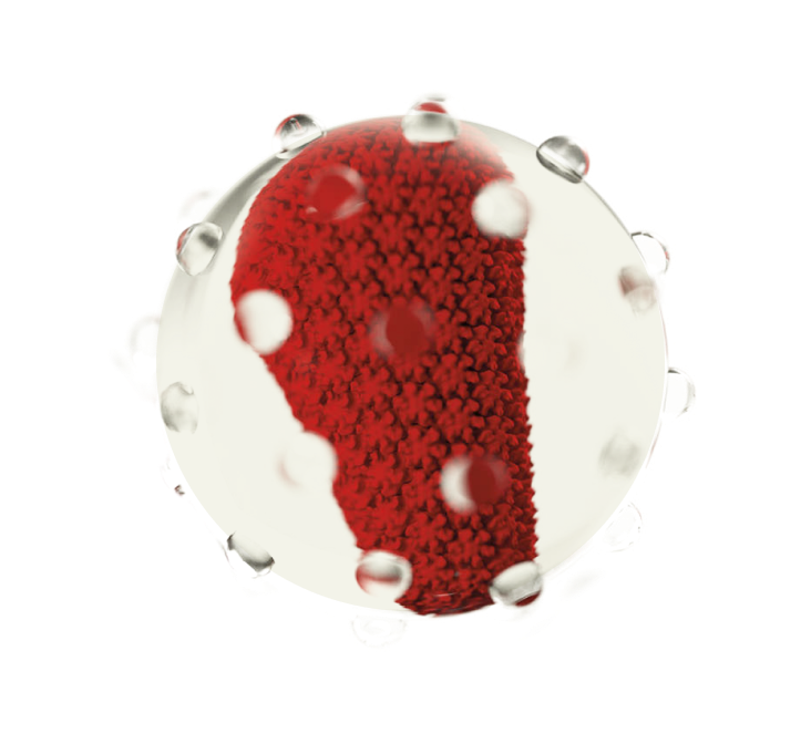 Impact Cell